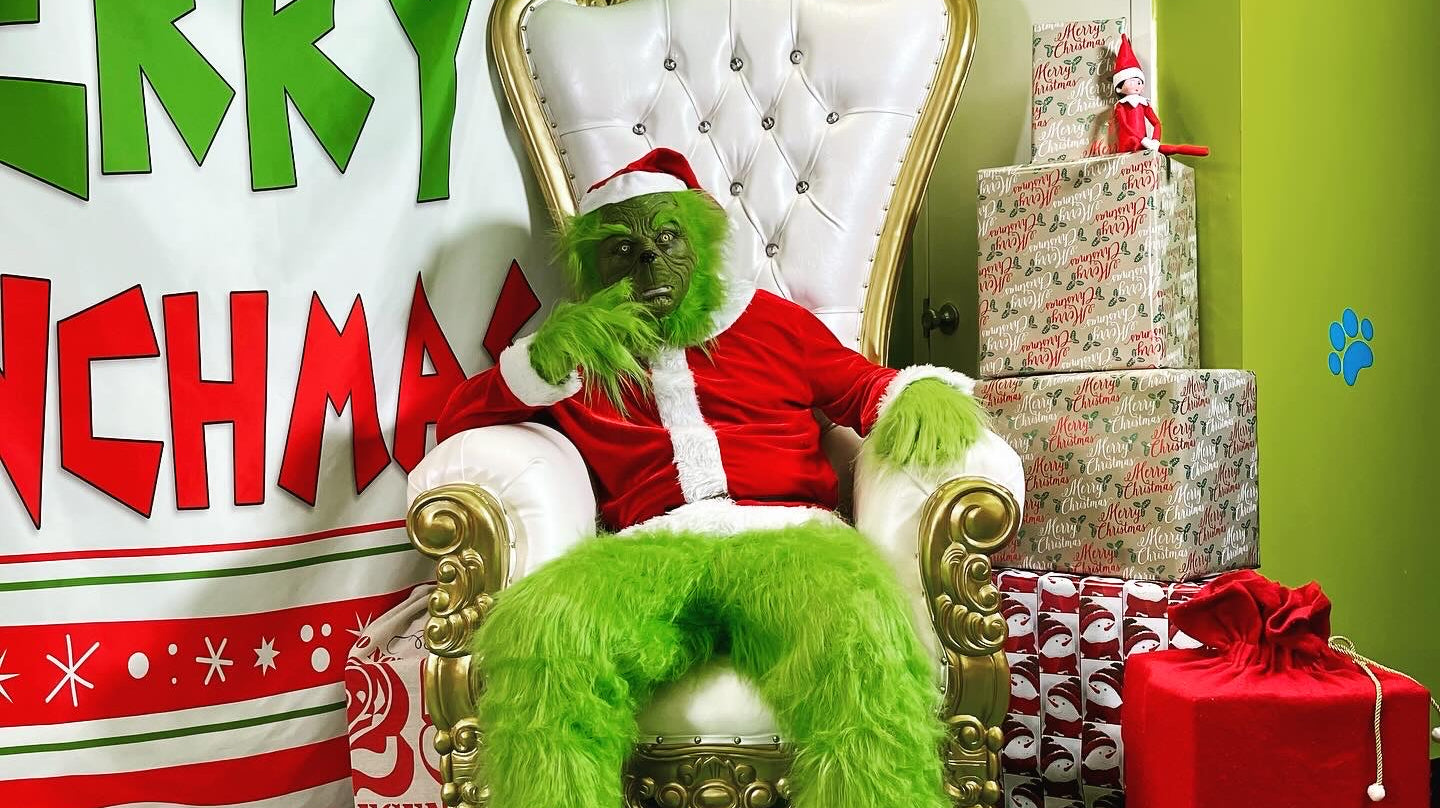 An assured success: The regal vision of a Christmas decoration.