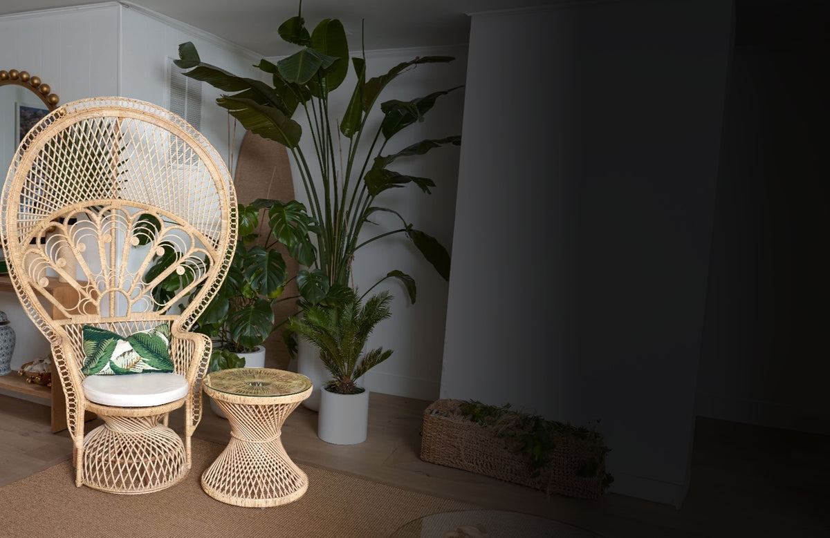 Rattan Collection – Throne Kingdom