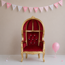 Hooded Mini Canopy Kids Throne Chair